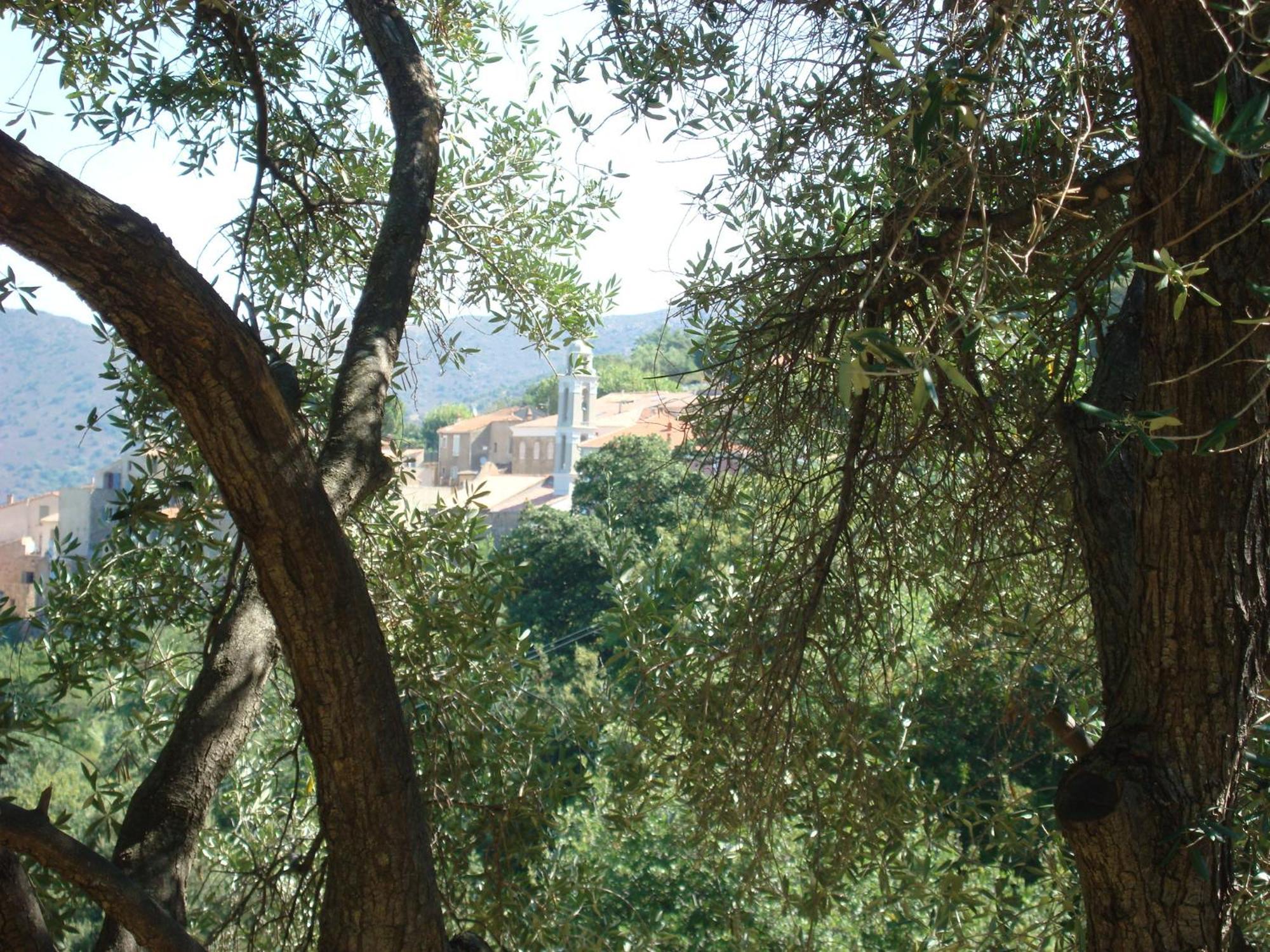 Villa Costa Di Sognu Exterior foto