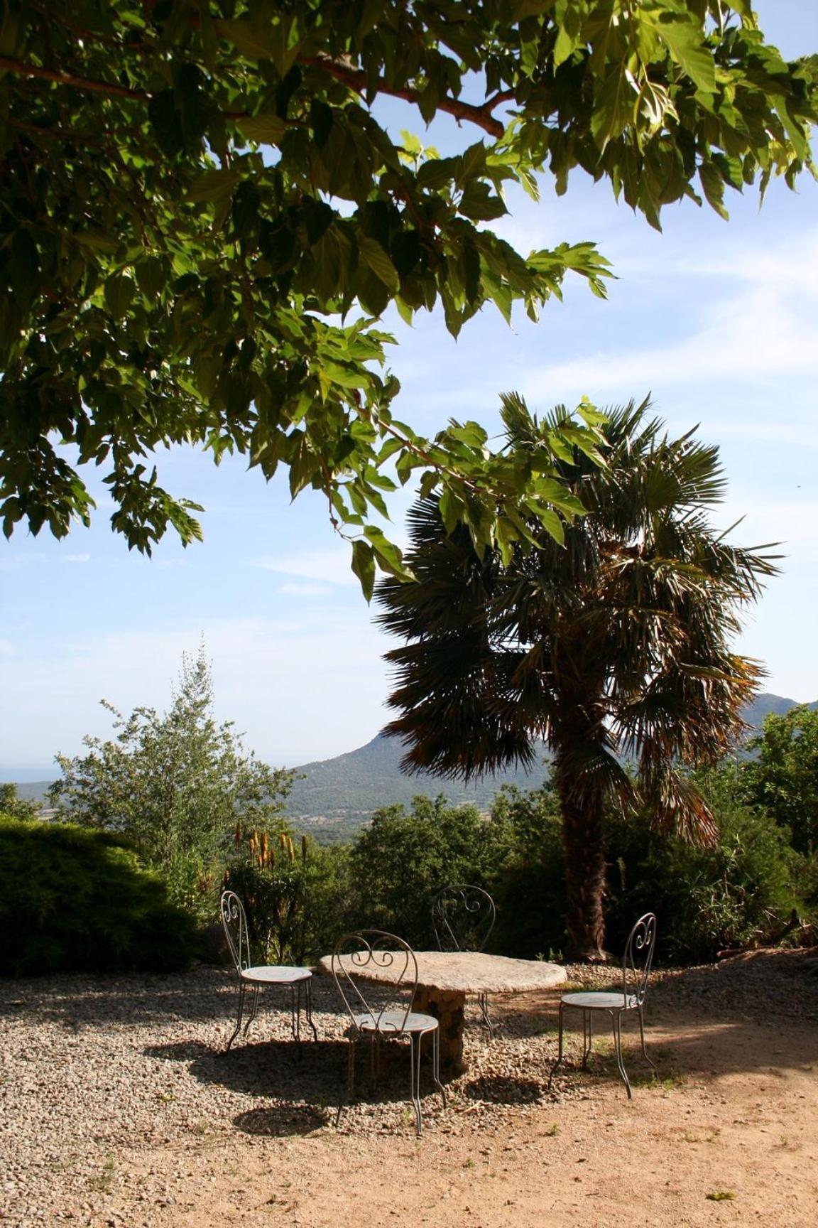Villa Costa Di Sognu Exterior foto
