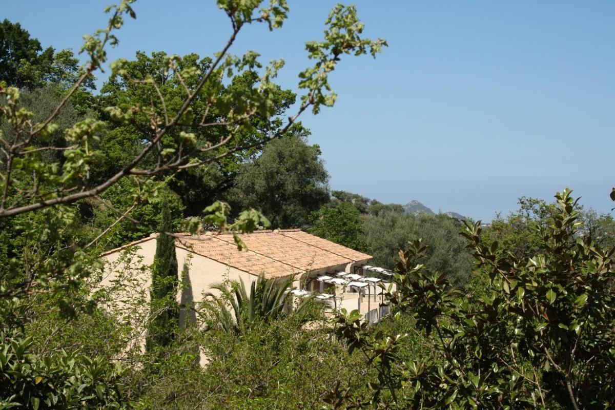 Villa Costa Di Sognu Habitación foto